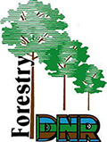 Indiana Department of Natural Resources, Division of Forestry